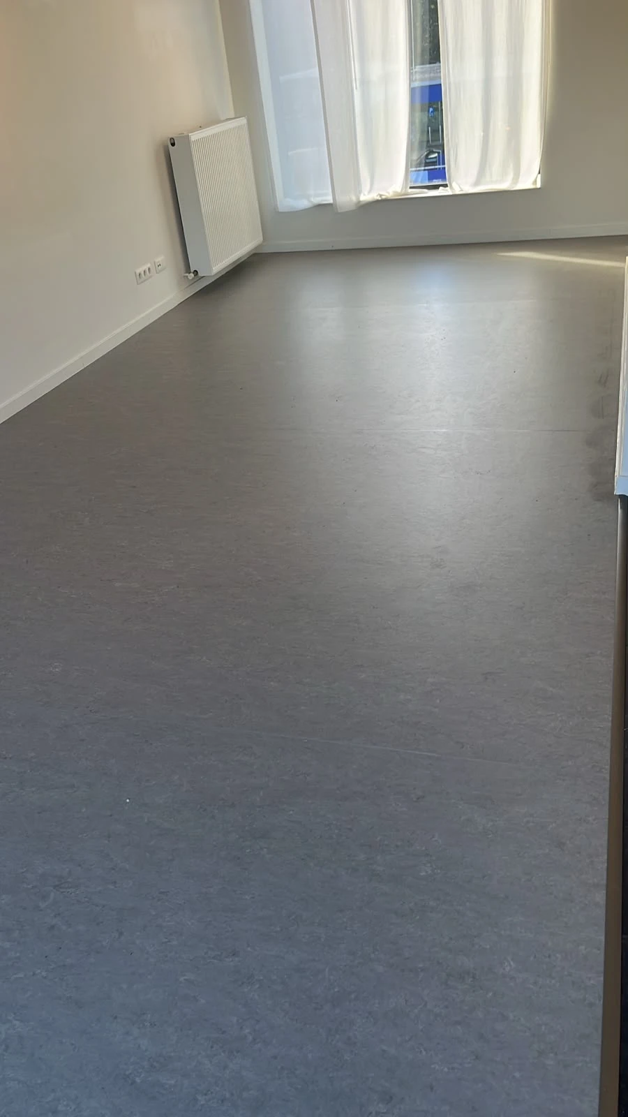 Linoleum 3